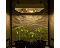 Weedness Kweeklamp Set 250 Watt NDL voor Bloei Fase – Binnenkweek Plantenverlichting Plantenlamp Box Natrium Damplamp NDL HPS
