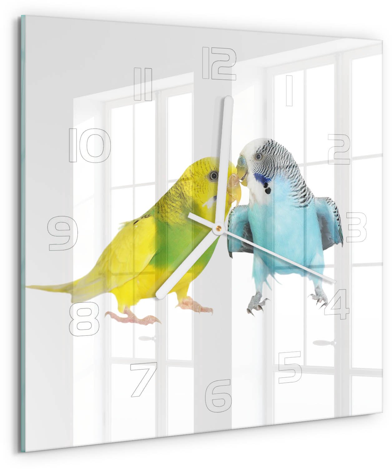 Tulup Wandklok - Parkieten Glazen Wandklok Design - 30x30 cm - Veelkleurig Klok Glas Met Opdruk - Witte handen - Vierkante Klok - Wandklok Glas Met Motief - Decoratieve Glazen Klok