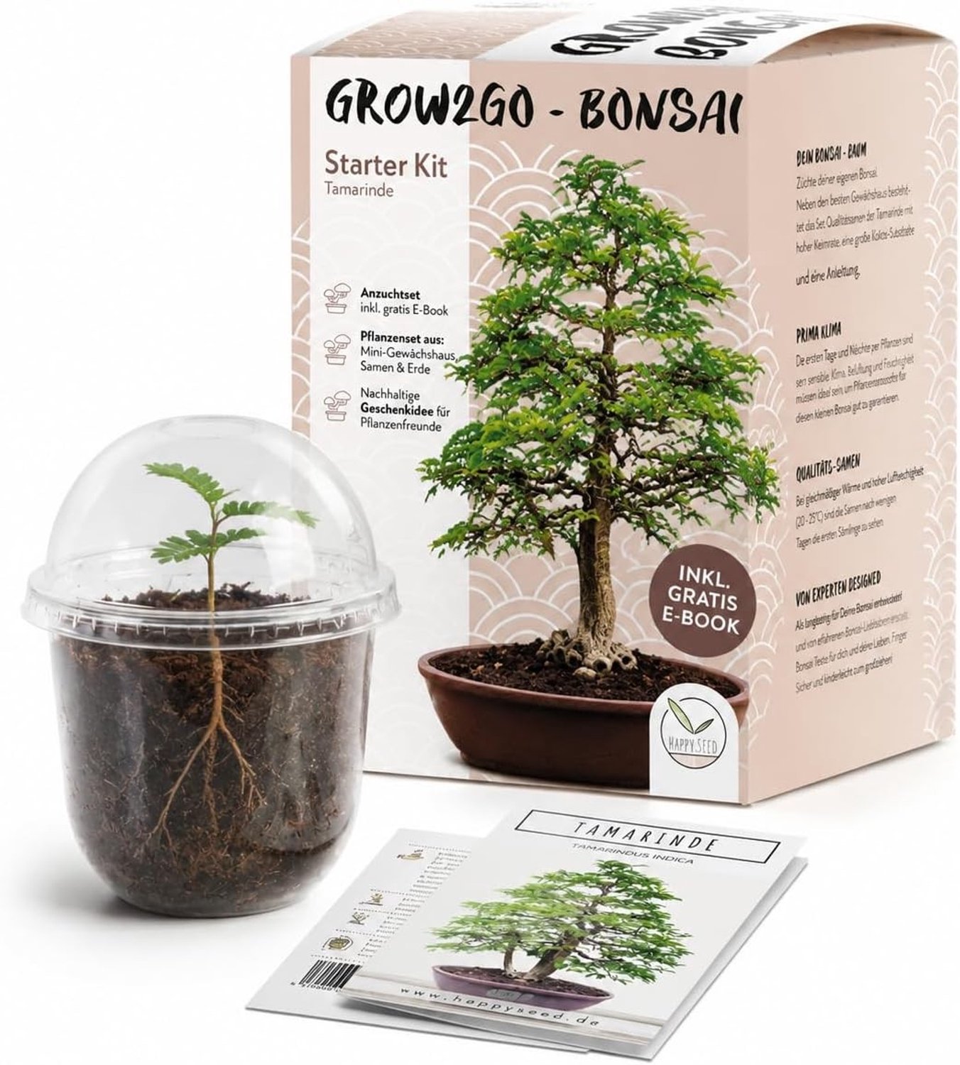 Bonsai Starter Kit - Tamarinde - Tamarinde - Plantenset met Minibroeikas, Zaden & Grond - Voor Plantenliefhebbers