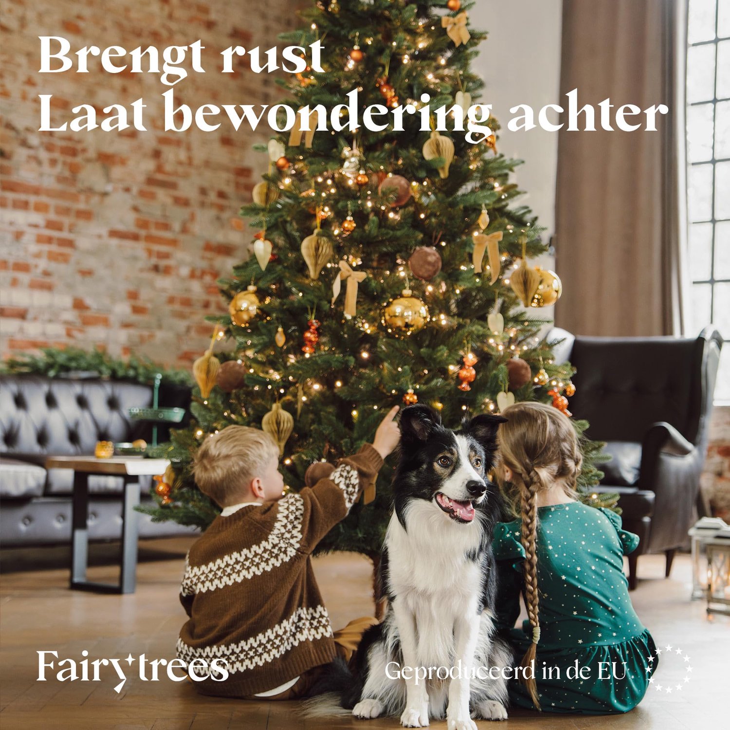 FairyTrees Kunstkerstboom Nordmann Premium 220 cm – Realistische Spuitgiet Naalden – Met Essenhouten Standaard – Gemaakt in de EU – foto 2