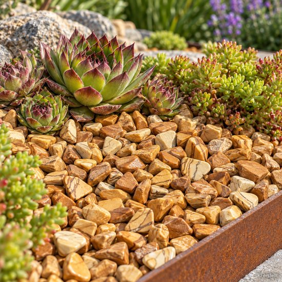 Natuurstenen, bruin-beige met houtnerf-achtige patronen, omgeven door groene succelenten en grind.