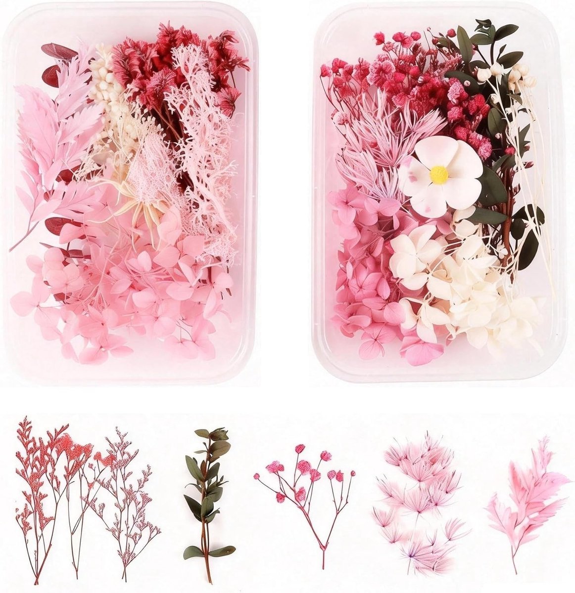 Gedroogde bloemen, geperste bloemen in decoratieve dozen, materialen voor interieurdecoratie en bloemstukken