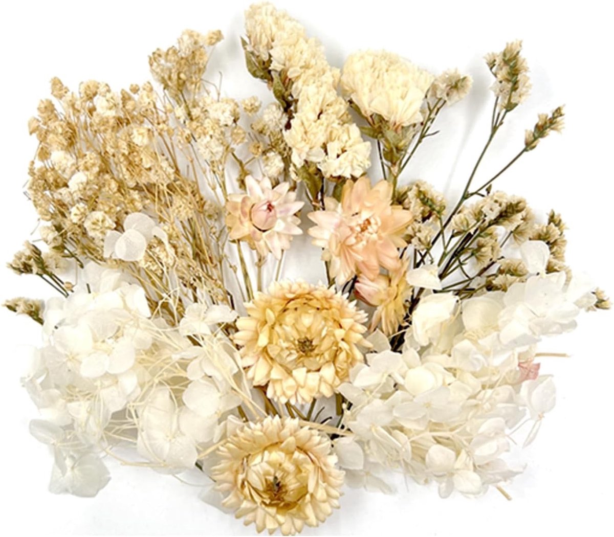Diverse Gedroogde Bloemen voor Creatieve Projecten, DIY Decoratie, Epoxy Hars en Scrapbooking (Witte Verpakking)