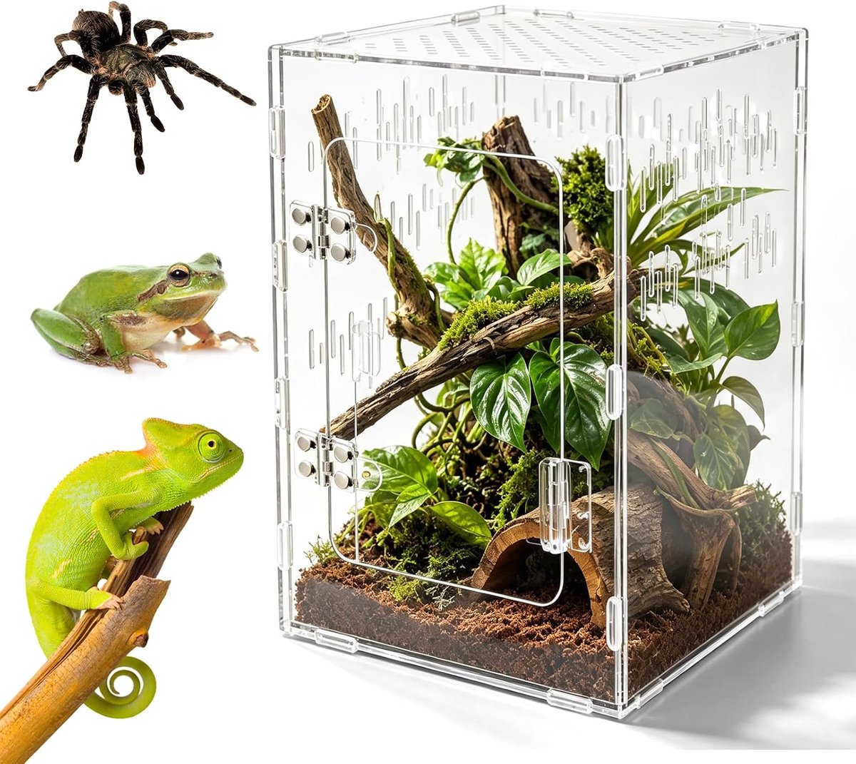 Terrarium, acryl terrarium, 360° panorama, 15 x 15 x 25 cm, faunarium met deur aan de voorkant, slakken voor vogelspinnen, godsbeiders, slakken, kikkers en kleine reptielen