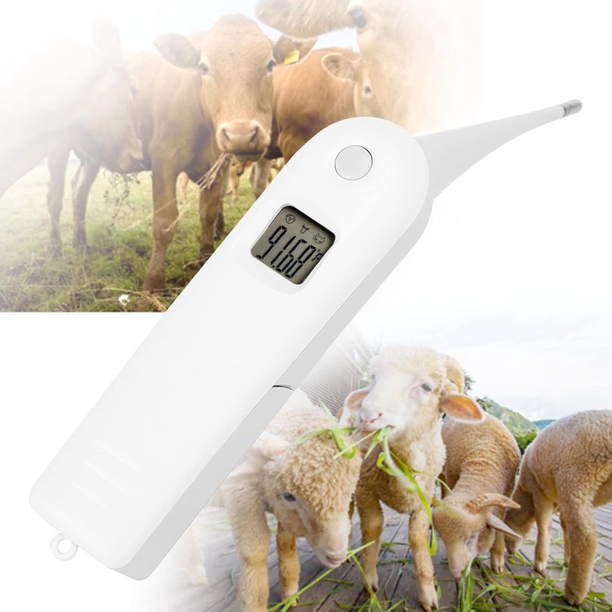Digitale Veterinaire Thermometer voor Vee, Schapen en Honden - Snelle Temperatuurmeting voor Gezondheid en Welzijn van Dieren