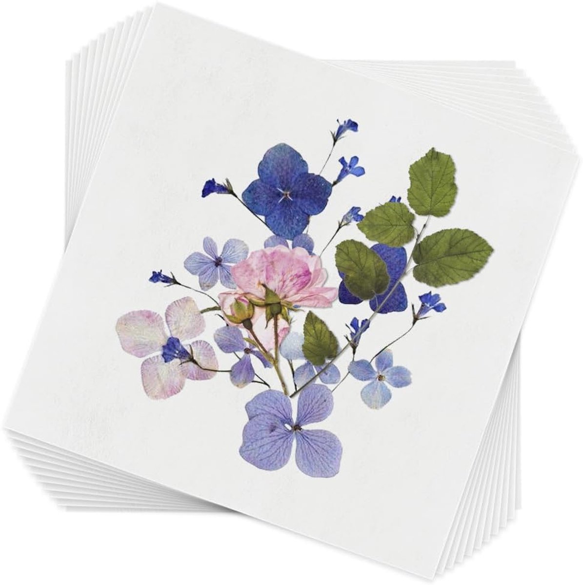 Dailygoods- Absorberend Papier 50 Vellen - 26,5 x 26,5 cm - Bloemenpers - Knutselwerk - Hoogwaardige Zuigkracht - Geschikt voor Vulpen - Bloemenperspa
