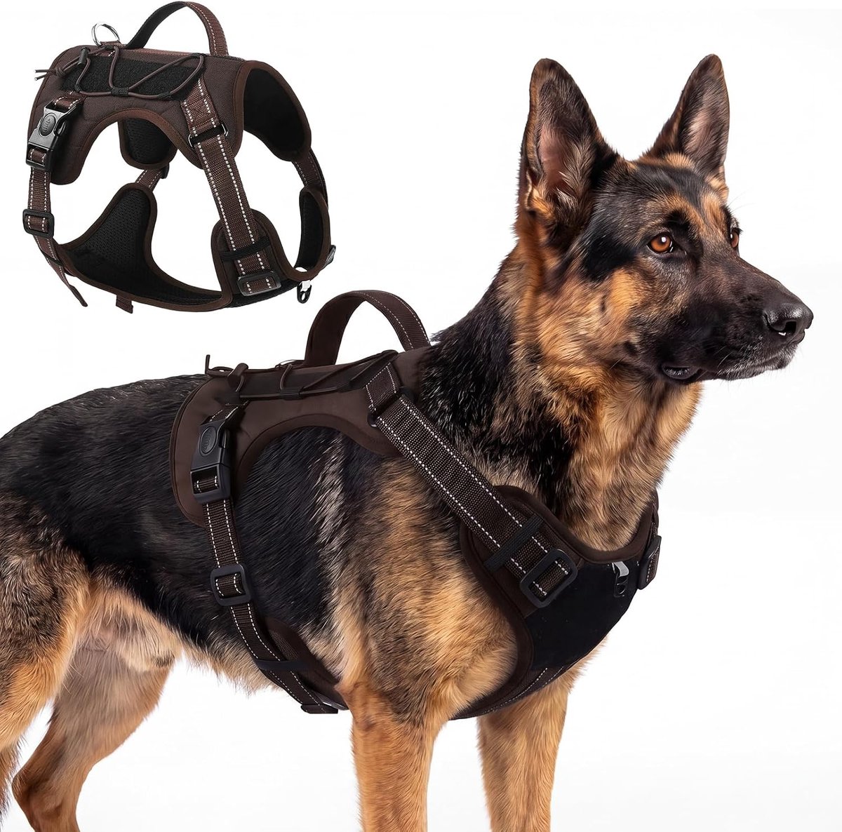 Geen trekharnas voor honden (Koffie, XL)