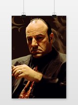 Tony Soprano Poster - The Sopranos - HBO - Abstract Portret - James Gandolfini - Film - posters - formaat 60x90cm - Wanddecoratie - 1347AZ