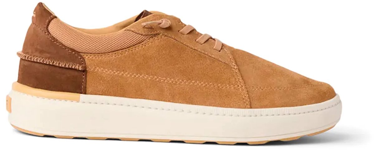 Reef Shoreline Verano Schoenen Man Tan