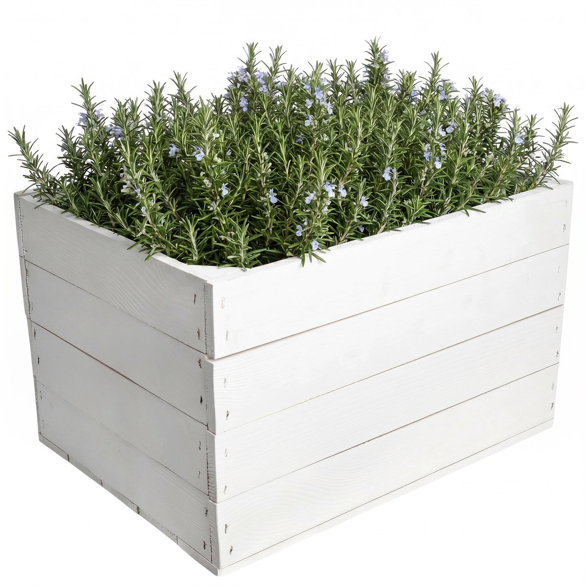 Creative Deco houten kist zonder sleuven, Wit 40 x 30 x 23 cm (+-1 cm), Fruitkist, decoratieve wijnkist, appelkist, Als houten kist, geschenkdoos, speelgoedkist, opbergkist, paasdecoratie