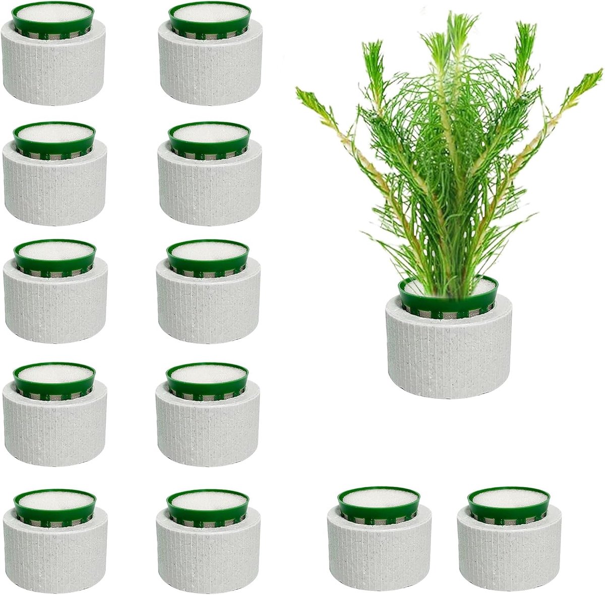 Set van 12 anti-zwemplantringen voor aquarium, keramische gewichten en plantenmanden met spons, set voor het vastzetten van waterplanten tegen opdrijven