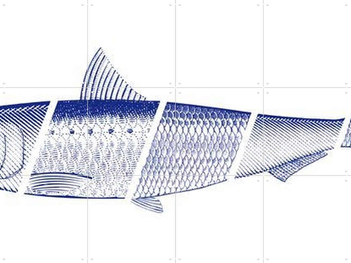 IXXI Blue Fish, Hip en Hanneke - 80 x 60 cm - Gratis ophangtool - Grote wanddecoratie en posters - Illustraties, Grafisch Ontwerp, Houtsnede, Line