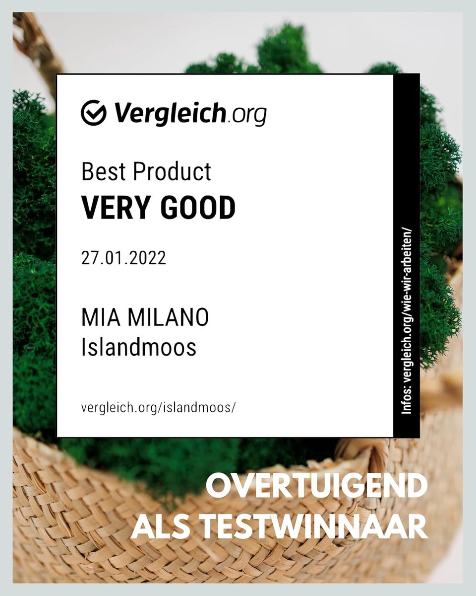 Mia Milano Icelandic Moss Deko Real I Preserved Decorative Material for Crafts I Sustainable Natural Icelandic Moss - ShopVlot
