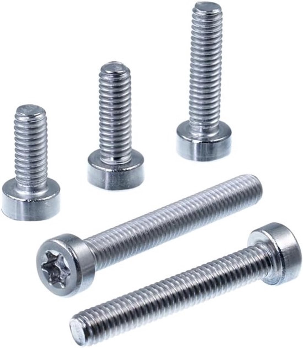 Cilinderschroef M8 - Schroef met lage kop - Voor het bevestigen van onderdelen - Roestvrij staal V2A - Lengte 40 mm - Zilver