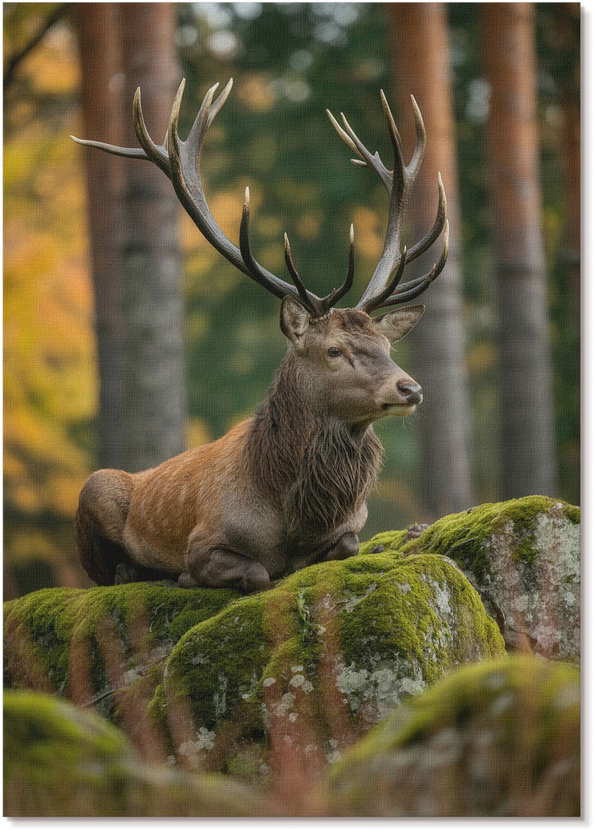 Tulup Polycanvas Wandposter - Dans Van Elegantie, Fotografie - A3 - Zwart-wit Wandposter - Rechthoek - Interieurdecoratie - Woonkamer, Slaapkamer, Kantoor - Klassiek