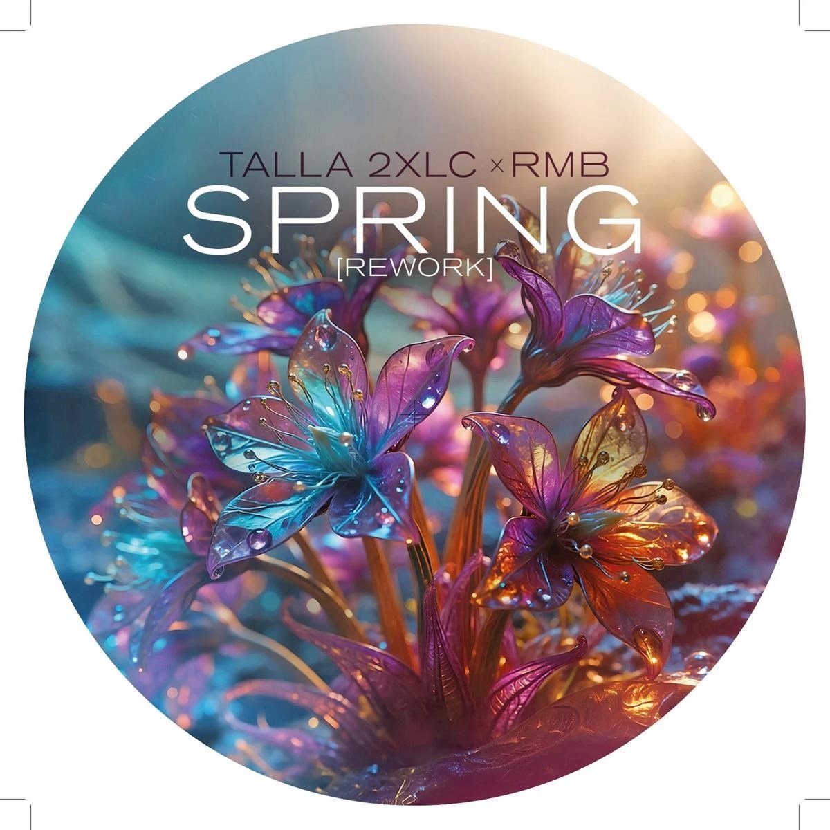 Talla 2XLC & RMB - Spring (Rework) (LP) (Picture Disc)