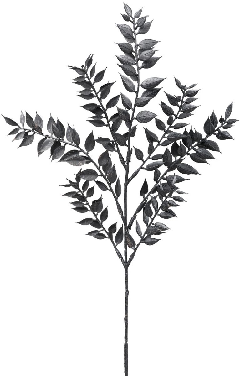 Gasper kunsttak ruscus zwart 52 cm