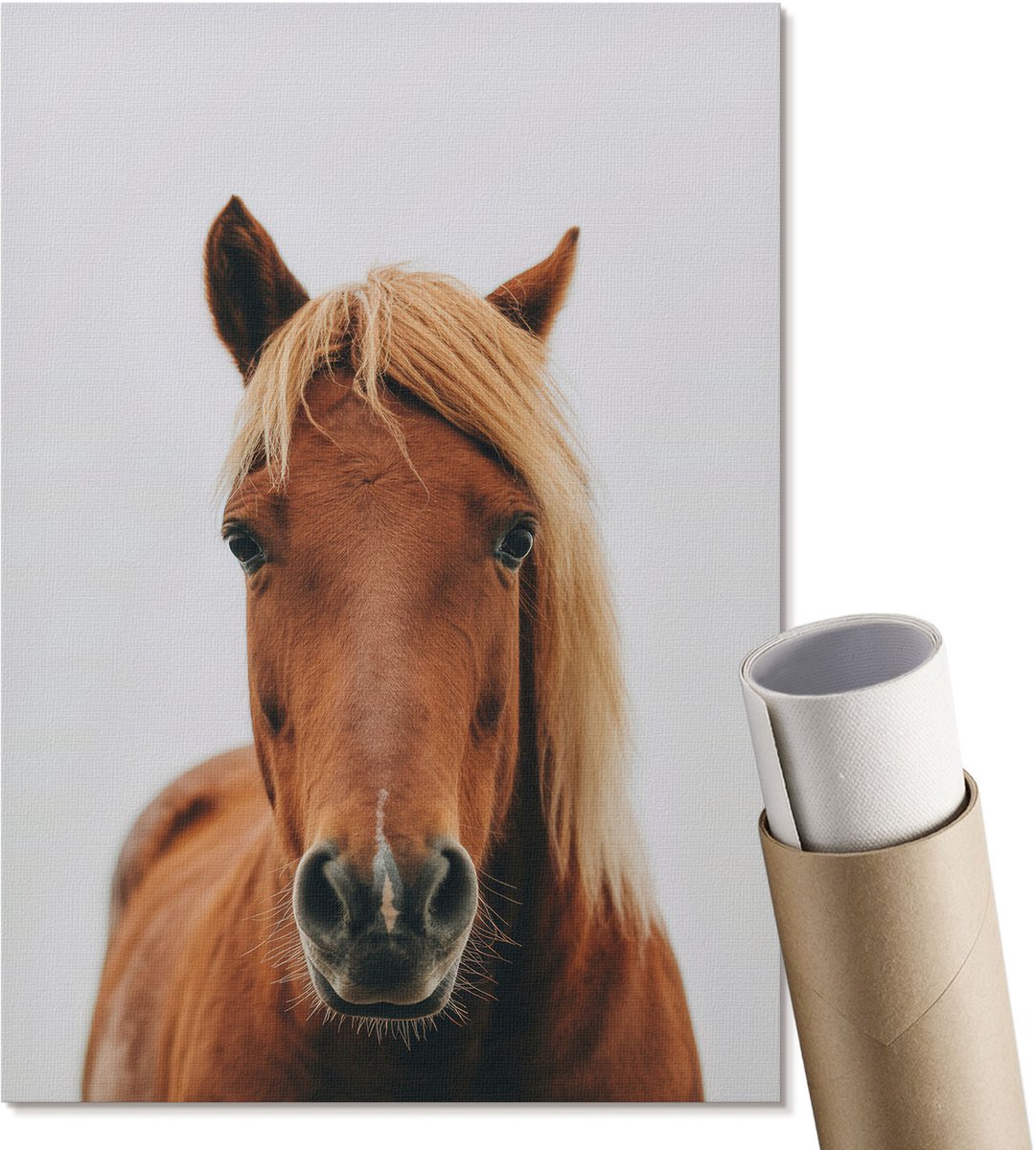 Coloray Polycanvas Wandposter - Paardenportret, Fotografie - A4 - Bruin Motief - Rechthoek - Interieurdecoratie - Woonkamer, Slaapkamer, Kantoor - Klassiek