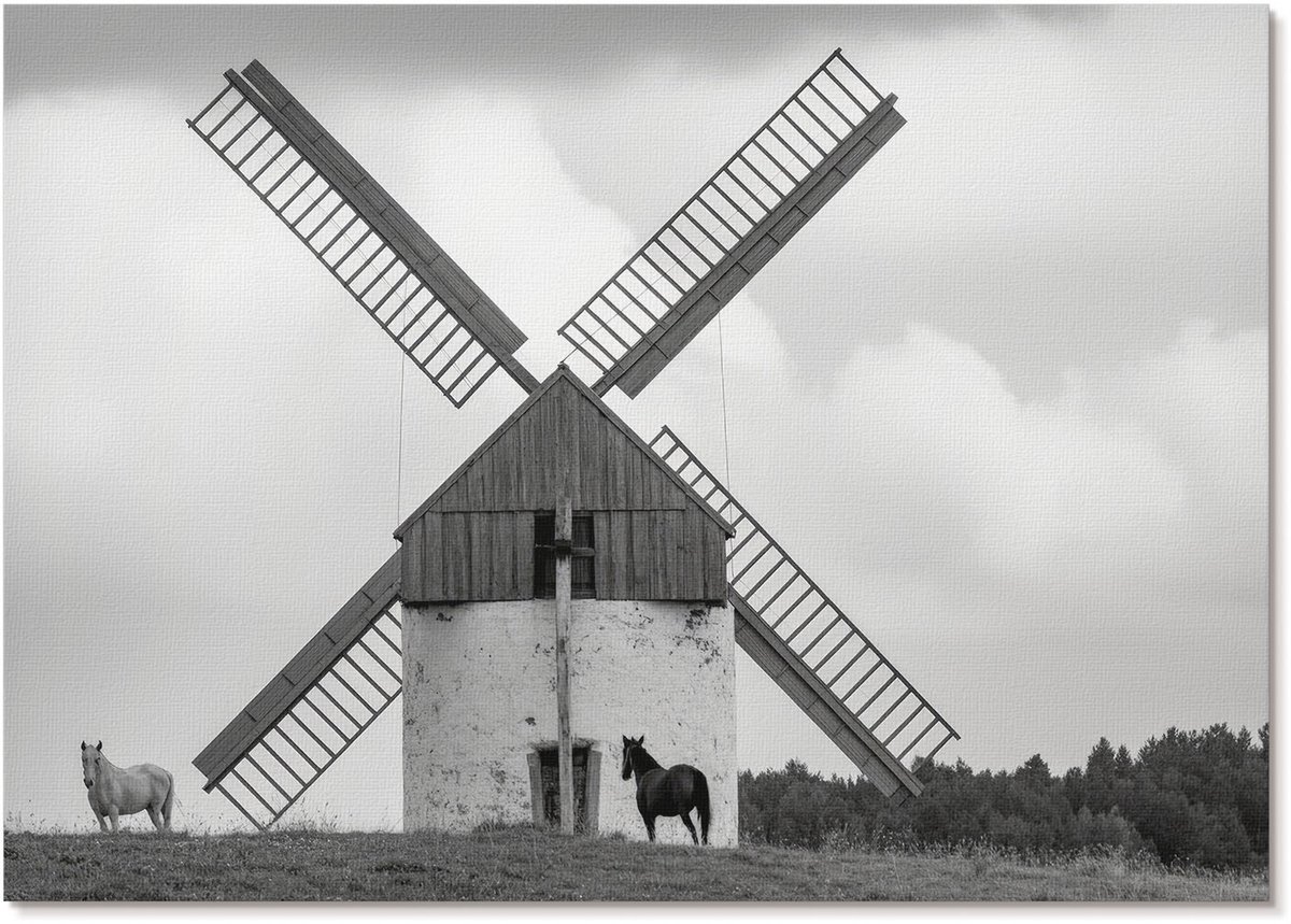 Tulup Polycanvas Wandposter - Bosvruchten, Fotografie - A1 - Groen Illustratie - Rechthoek - Canvasposter - Woonkamer - Rustiek