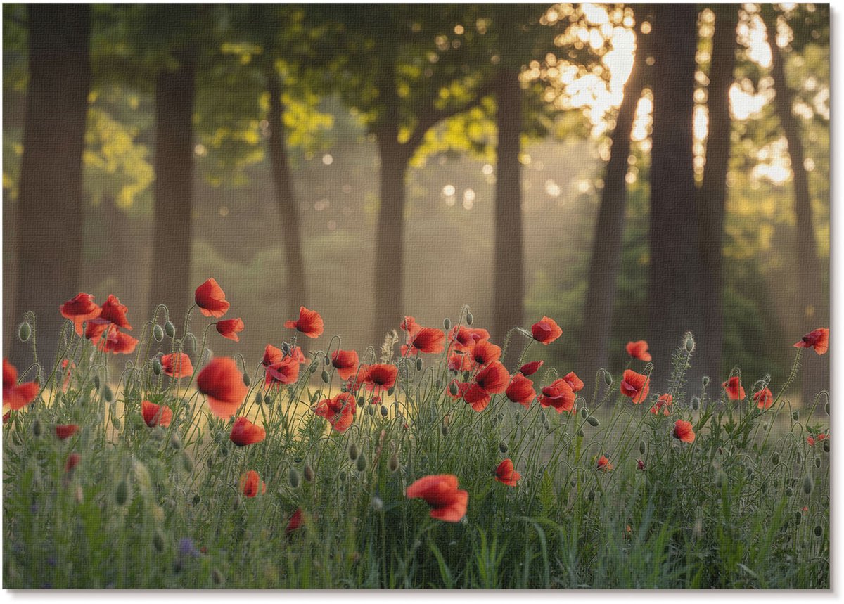 Tulup Polycanvas Wandposter - Olifantenkop, Fotografie - A1 - Zwart-wit Patroon - Rechthoek - Interieurdecoratie - Kantoor - Klassiek