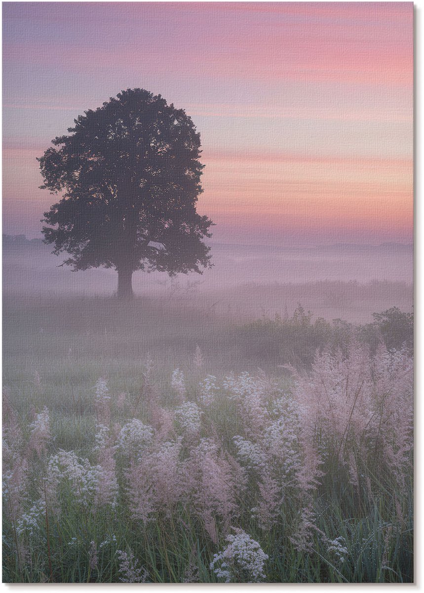 Tulup Polycanvas Wandposter - Een Boom In De Wei., Fotografie - A4 - Roze Design - Rechthoek - Canvasposter - Woonkamer, Slaapkamer, Kantoor - Klassiek
