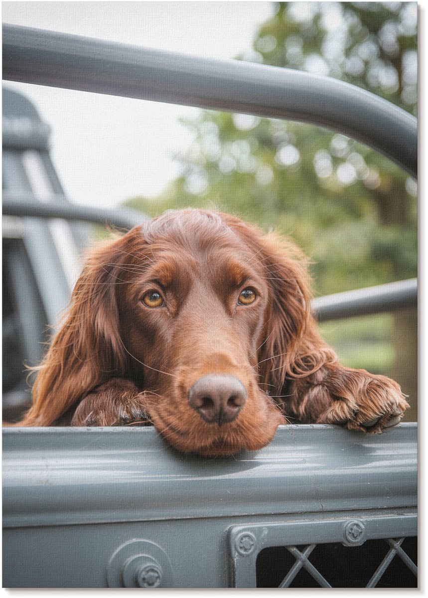 Tulup Canvas Poster Polycanvas - Hond In De Auto, Fotografie - A4 - Bruin Decoratie - Rechthoek - Decoratieve poster - Woonkamer, Slaapkamer, Kantoor - Klassiek
