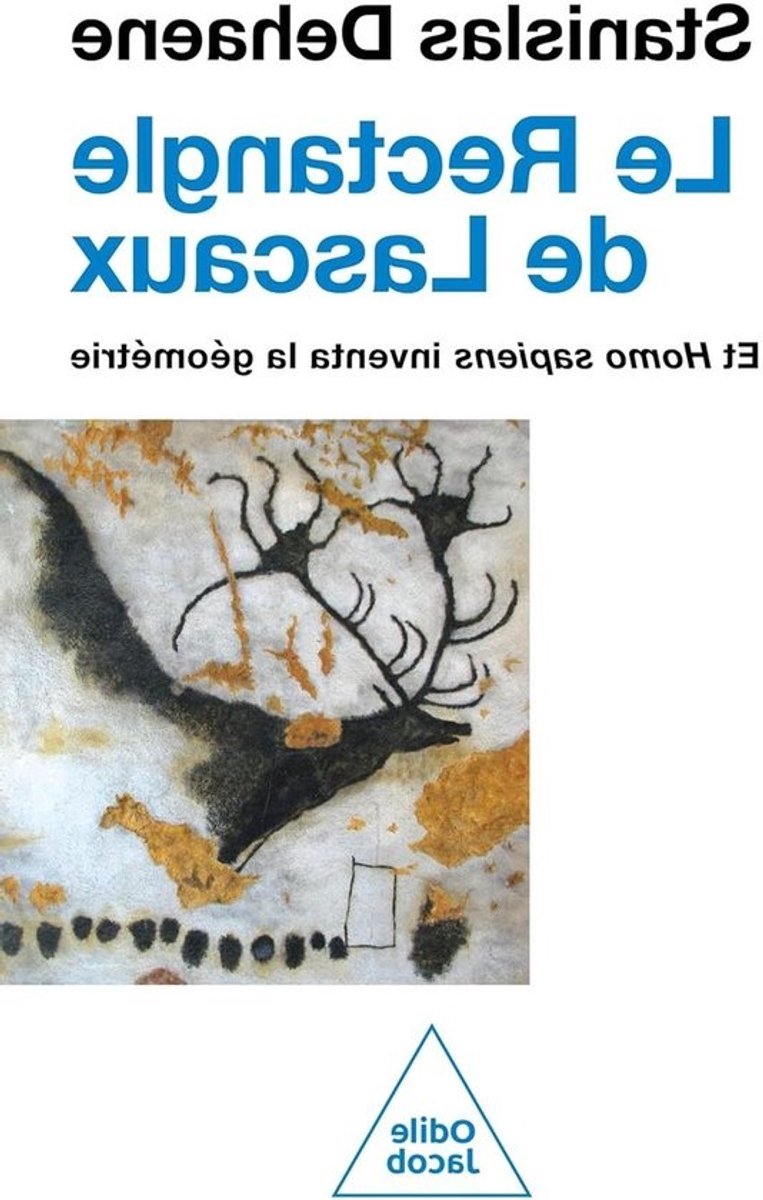Le Rectangle de Lascaux - Géométrie et Cognition Humaine - Begrijpen Menselijke Cognitie - Oorsprong Geometrie en Symboliek