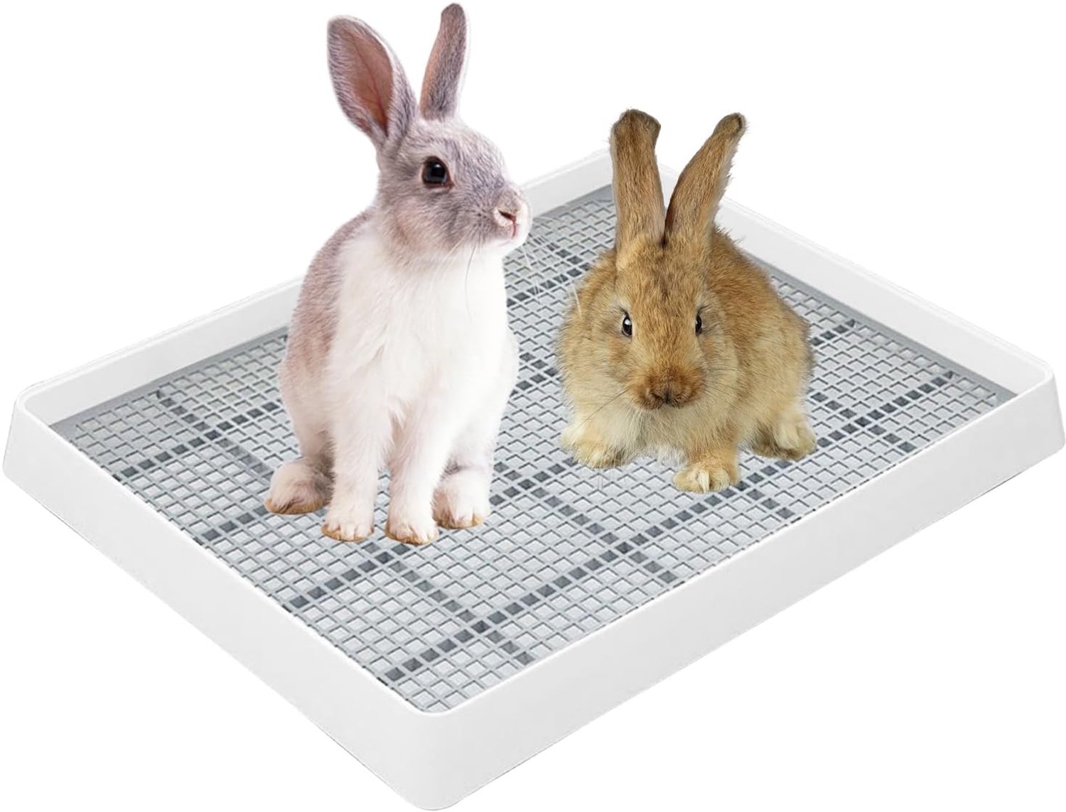 Kattentoilet XL - kunststof - voor konijnen, cavia's en fretten - hygiënisch toilet voor huisdieren - m-winkel
