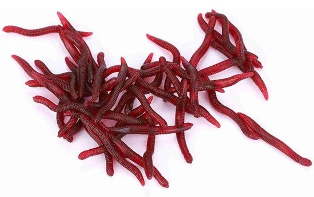 Kunstwormen VIsaas - Zachte Lokaas Regenworm - Vissen Vangen - Realistische Zwemactie - 4 cm - Rood