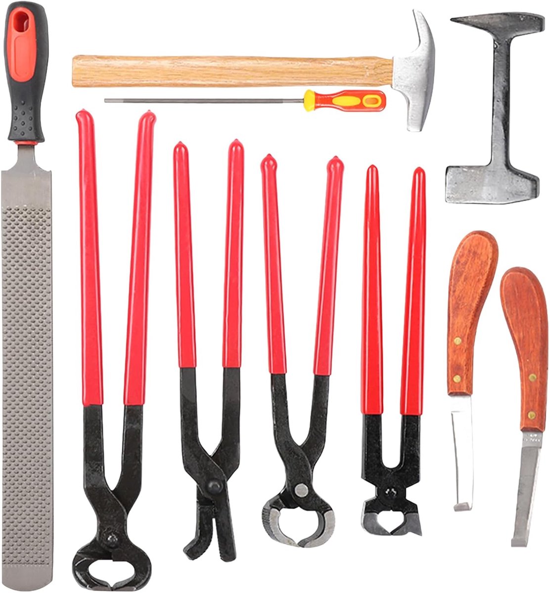 Dailygoods- Hoefsmid Gereedschap 9 Stuks - Staal/Ijzer - Hoefijzertang/Nageltang - Hoefijzernagelhamer - Hoefijzervijl met Handvat - Volledig Uitgerus