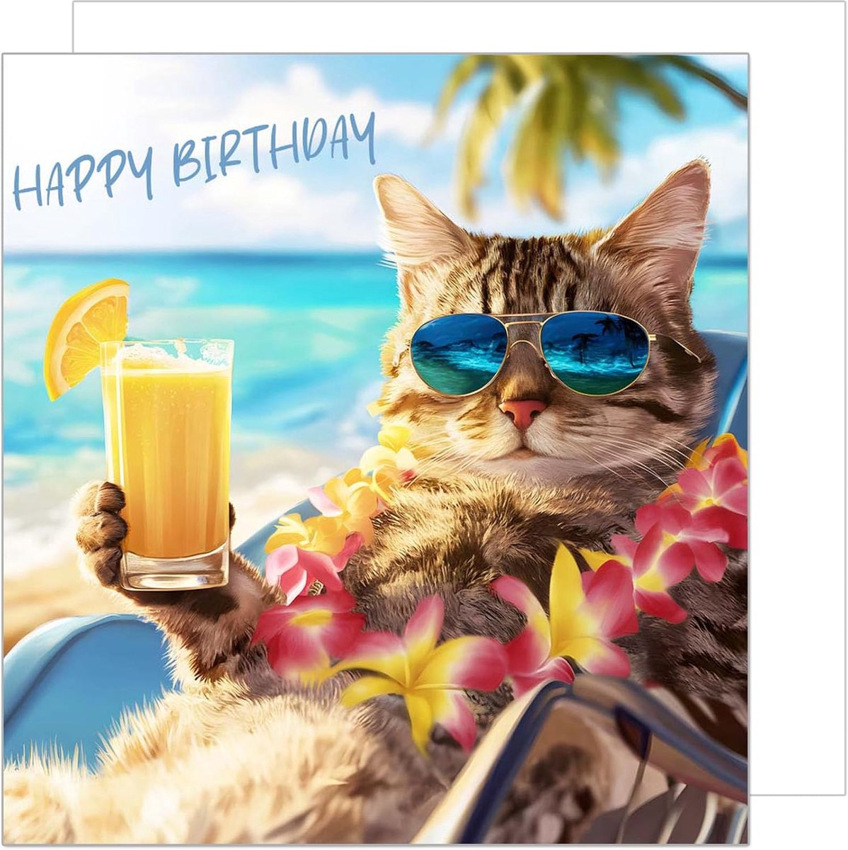 Seidel Premium vierkante verjaardagskaart met envelop. Wenskaart Happy Birthday Billet dier kaart voor vrouw man strand coole kat grappige humor (GQ297 SW024)