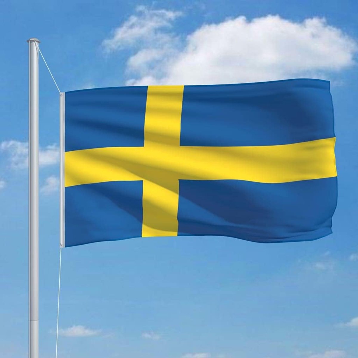 Vlag 90x150 cm Polyester