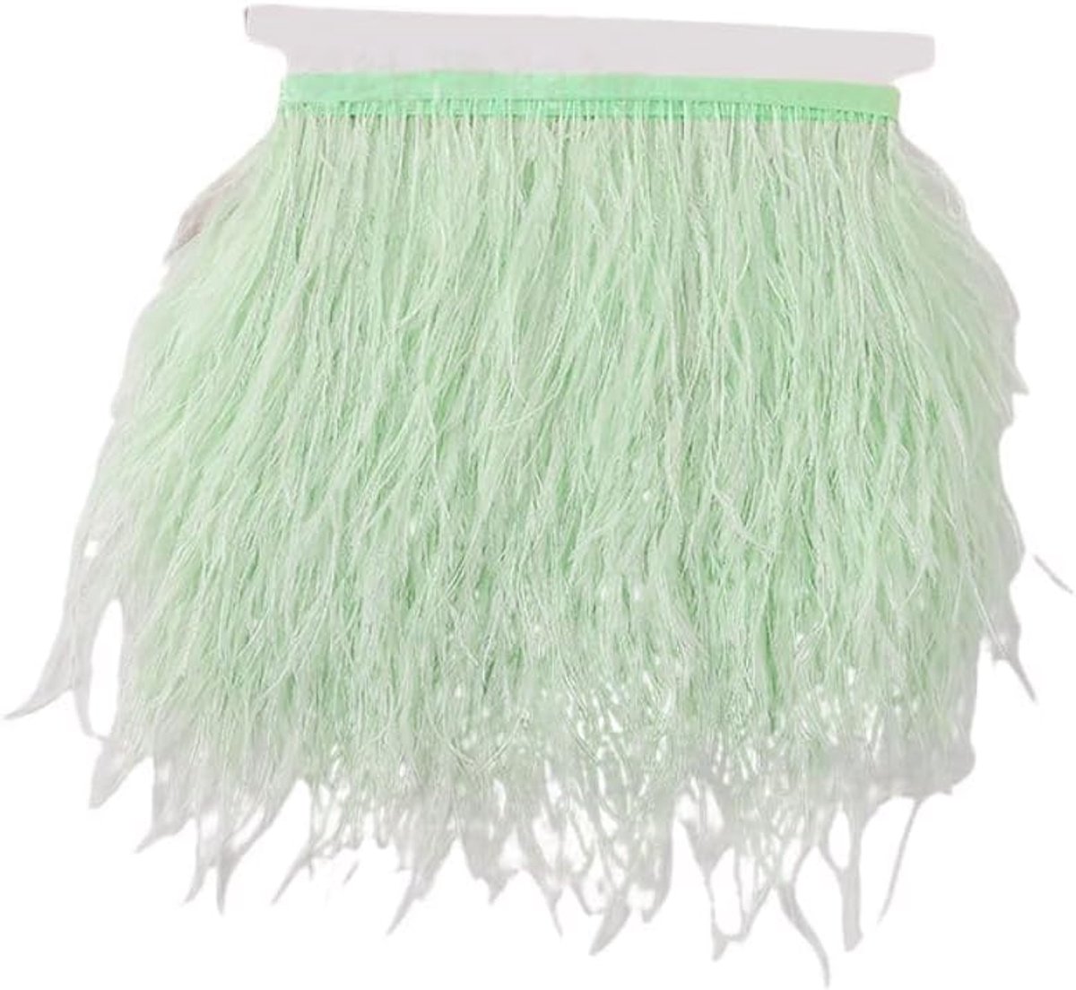 1 meter struisvogelveren, wollige trim veren, franjes, satijnen band, veerrand, franjes, voor naaien, handwerk, decoratie, mintgroen