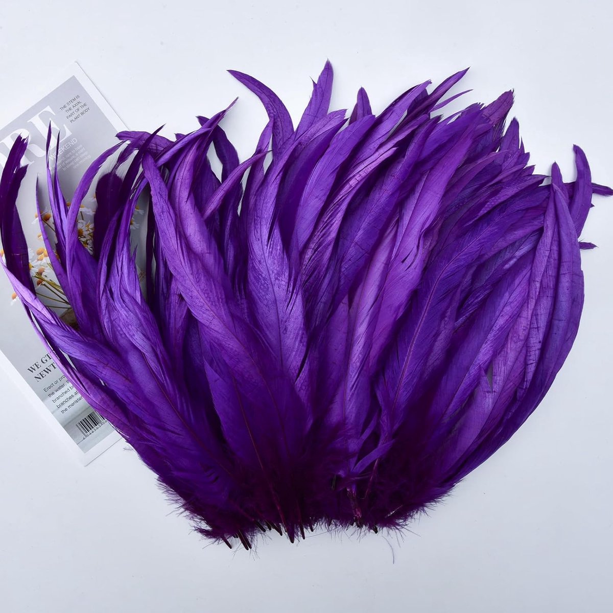 Veren, 25-30 cm, verpakking met 50 stuks, meerkleurig, gedempt voor carnaval, Halloween, bruiloft en dromenvanger, handgemaakt, wit, paars
