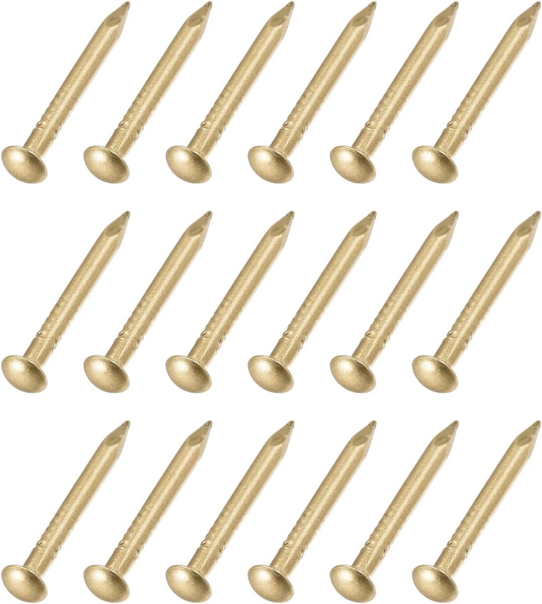 Dailygoods - Kleine Messing Spijkers (2 x 25 mm) 100 Stuks voor Houtbewerking en Huishouden