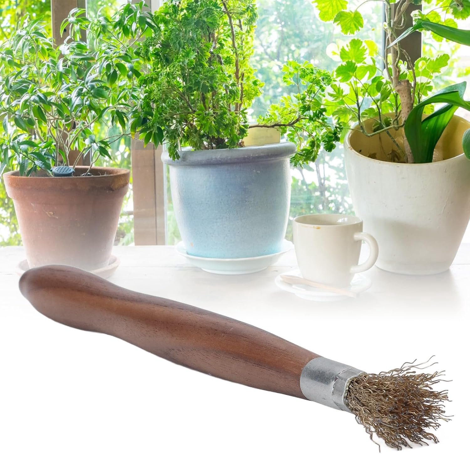 Duurzaam Roestbestendig Houten Handvat Bonsai Reinigingsgereedschap voor Potplanten, Slijtvaste Professionele Borstel voor Alle Bonsai Liefhebbers en Beginners