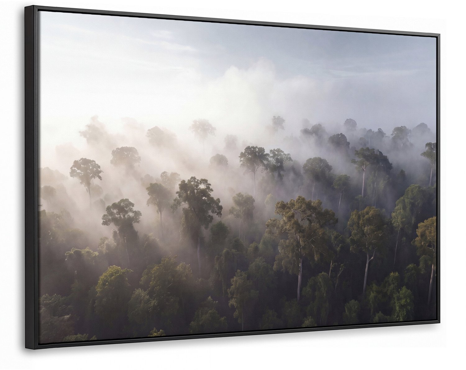 Canvas Schilderij met Baklijst - Bos - Mist - Natuur - Groen