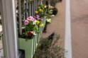 Olijfgroene Vercony balkonbak met kleurrijke bloemen zoals roze, gele en rode bloesems aan een balkonhek.