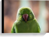 Canvas  - Groene Vogel met Wazige Achtergrond - 40x30cm Foto op Canvas Schilderij (Wanddecoratie op Canvas)