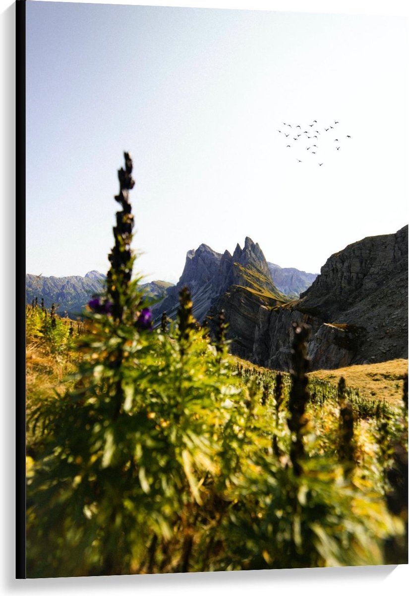 KuijsFotoprint Canvas - Rotsen met Begroeiing - 80x120cm Foto op Canvas Schilderij (Wanddecoratie op Canvas) Groen