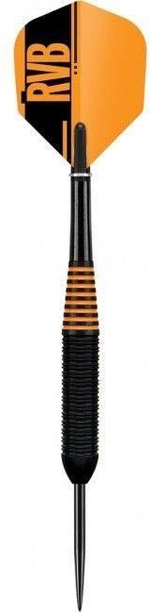 Target Raymond van Barneveld Black Brass - Dartpijlen 22 gram