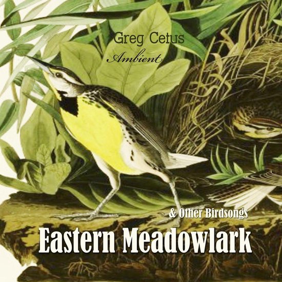 Eastern Meadowlark and Other Bird Songs - cover