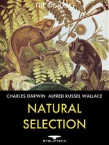 The Big Ideas - Natural Selection