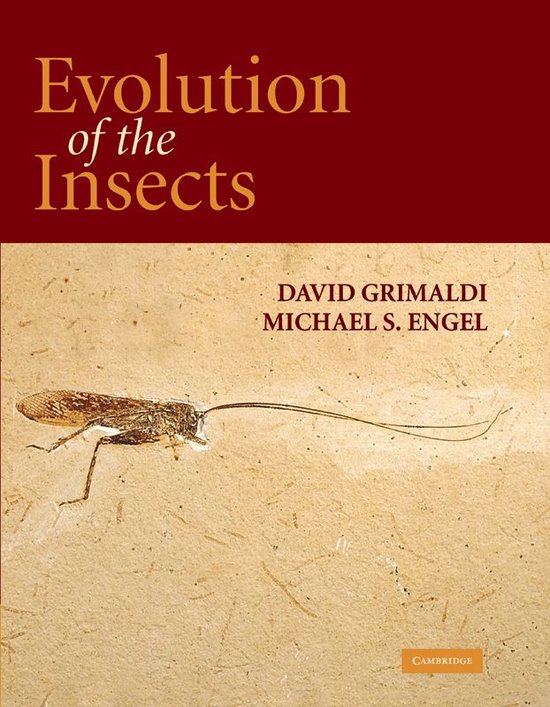 Cambridge Evolution Series - Evolution of the Insects - cover