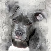 Mona Lisa Diamond Painting Pitbull Puppy 40 X 30 Cm 266 Gr