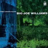 Big Joe Williams - Piney Woods Blues (CD)
