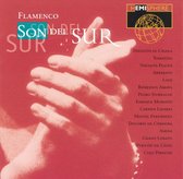 Flamenco: Son Del Sur