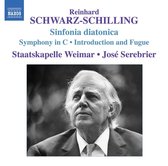 Schwarz-Schilling: Orch. Works