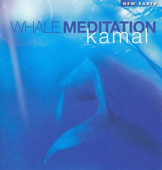 Whale Meditation