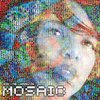 Mosaic Project - Carrington Terri Lyne